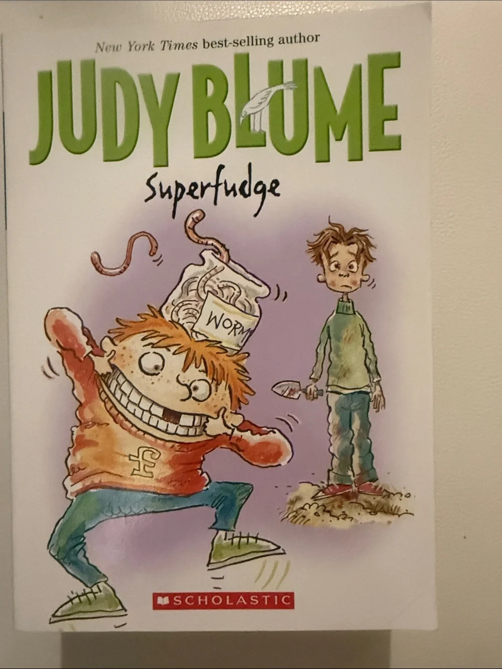 Paperback Judy Blume Book Set - Yellow, Blue, Red, Green Accents